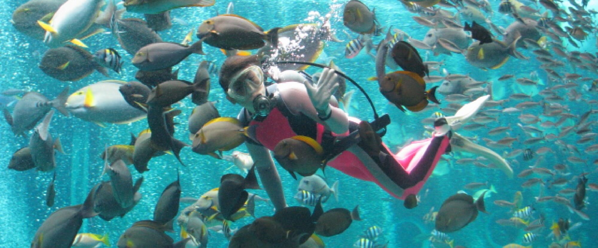 箱根園水族館