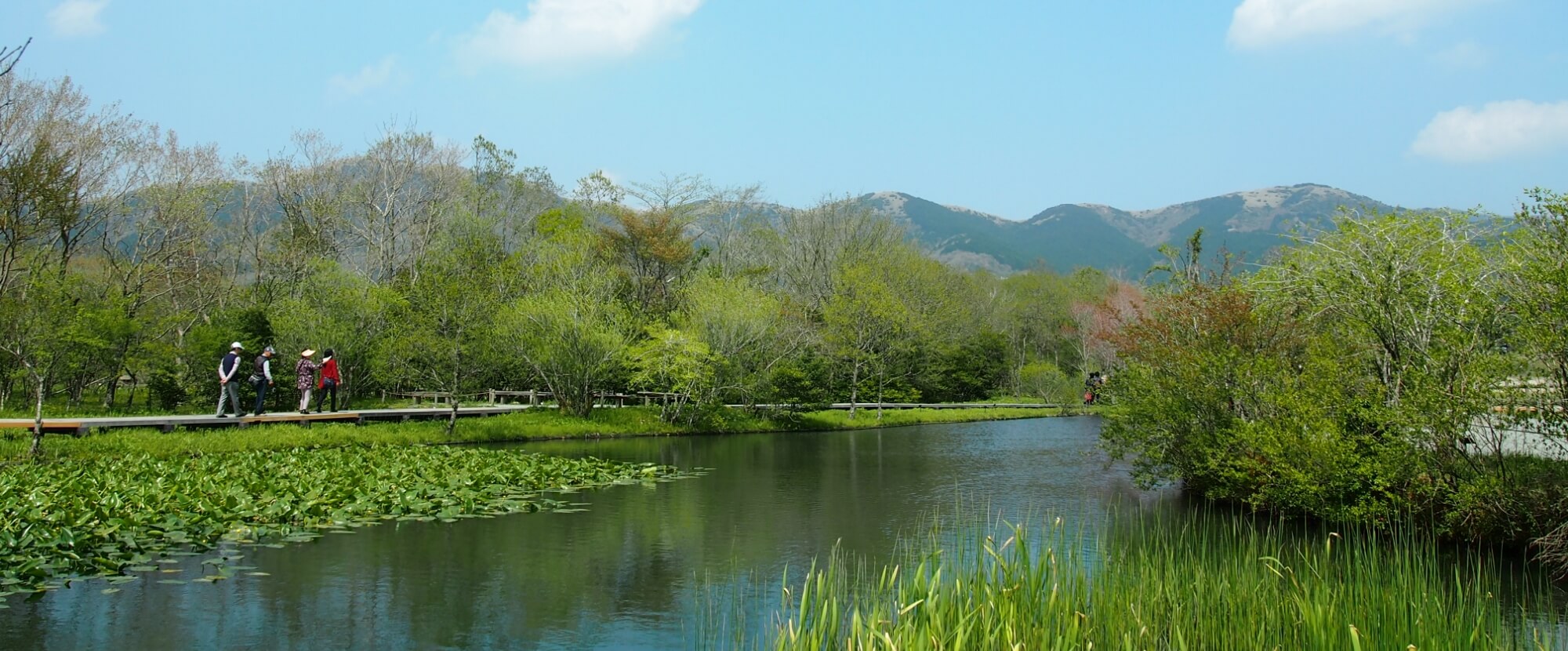 箱根湿生花園