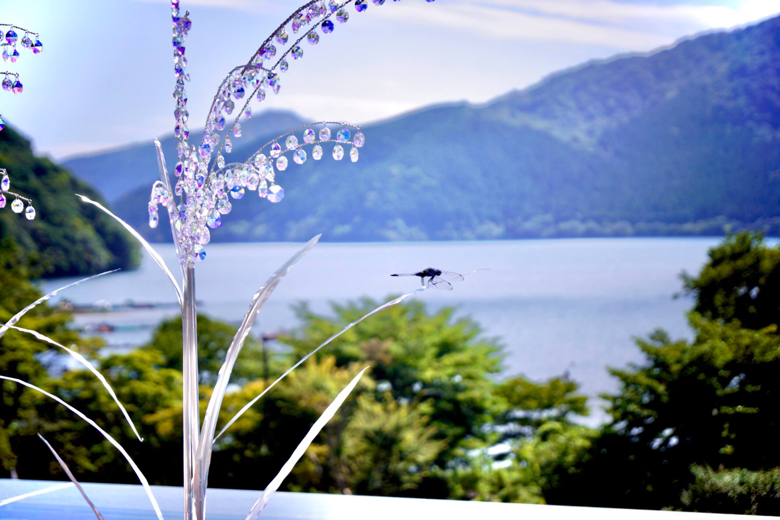 湖畔にキラキラ輝くクリスタルガラスのススキ　　　　　　　　　　　　　　　　　　　　　　　　　　　芦ノ湖を望むはなをりでしか見られない秋のイマーシブスポット