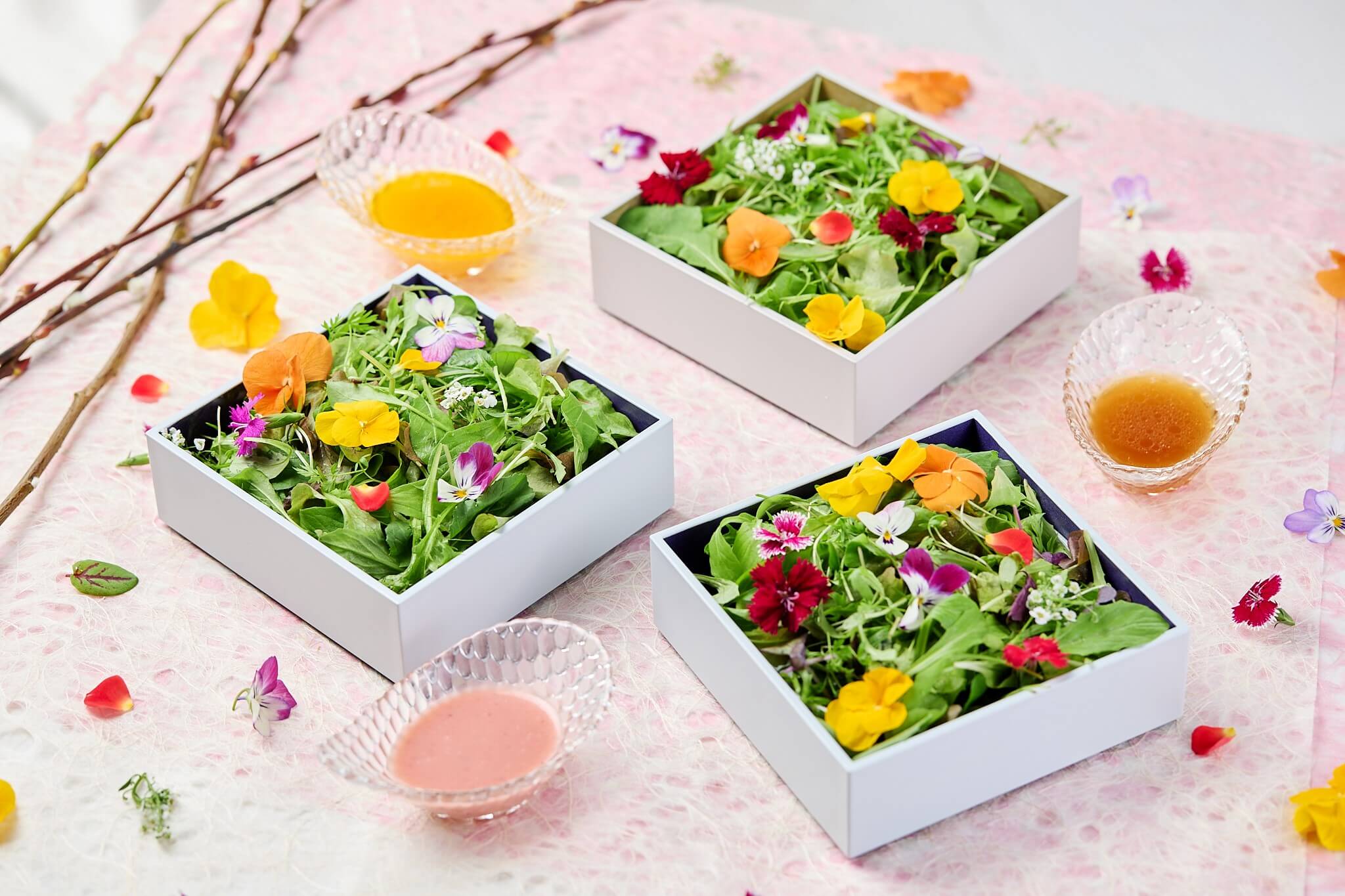 箱を開けるとはじまる花咲く前菜「はな手箱」が登場 はなをりの夕食ビュッフェが1月24日にリニューアル